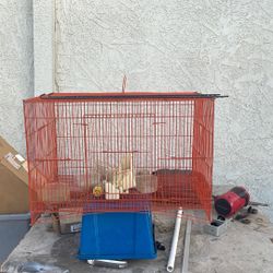 Bird Cage