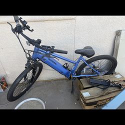 Schwinn E-bike