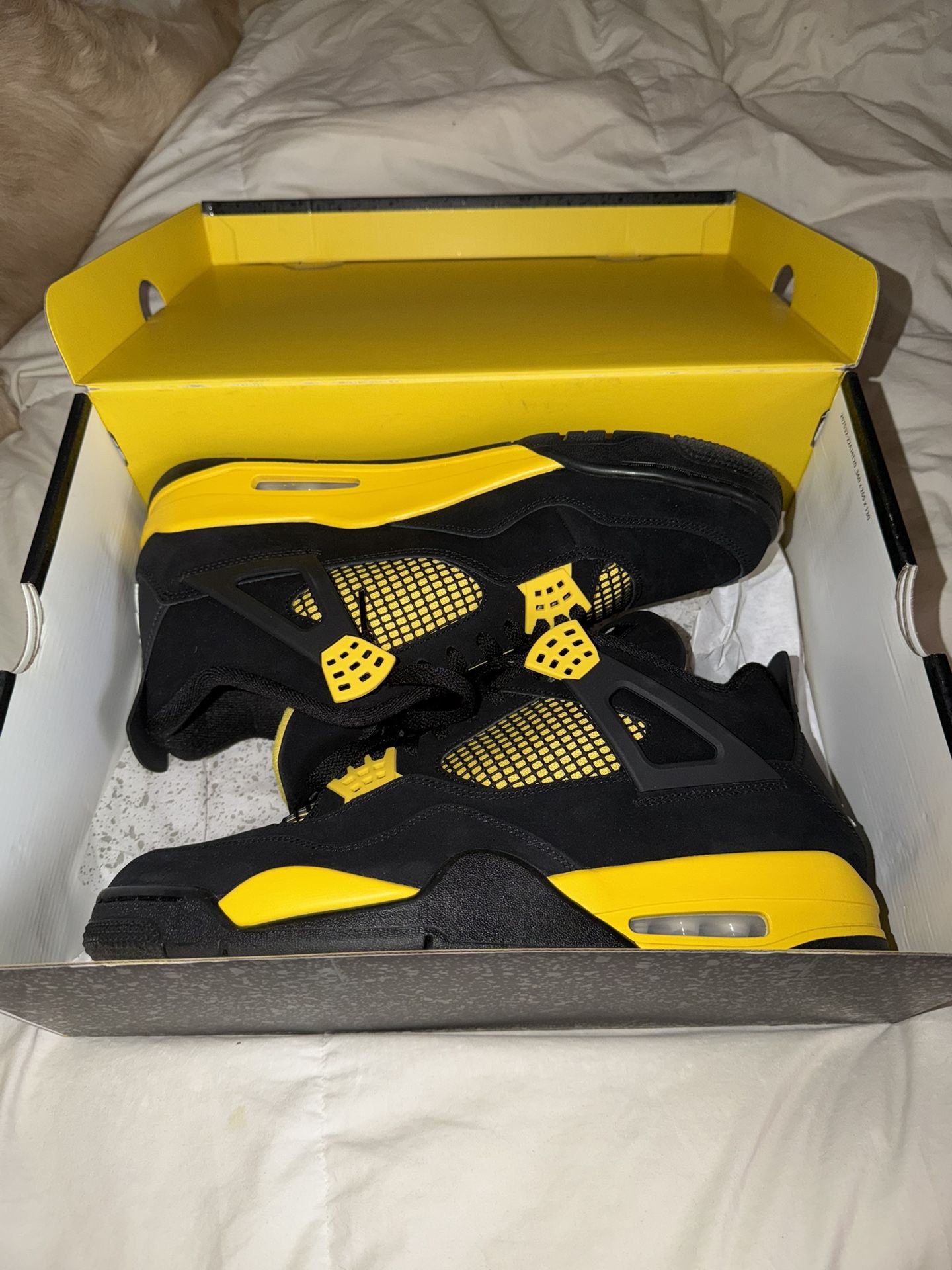 Jordan 4 thunder size 13