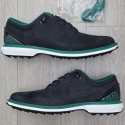 Nike Jordan ADG 4 x Eastside Golf 1961 Cleats FJ0850-001 Men's Size 8.5 MSRP $205 ⛳️