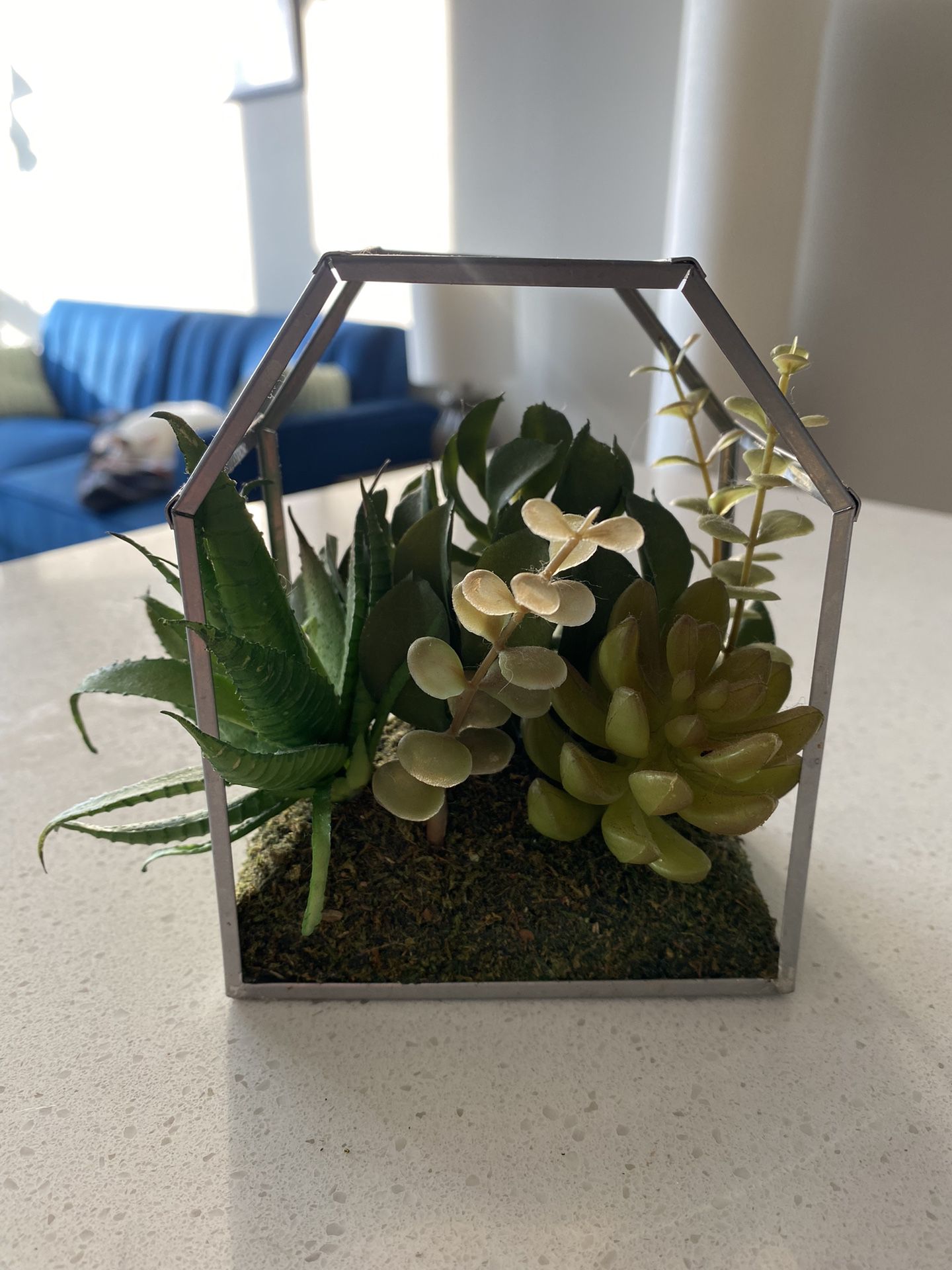 Artificial Succulent Plant With Metal Border