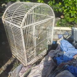 Used Cage For Parents