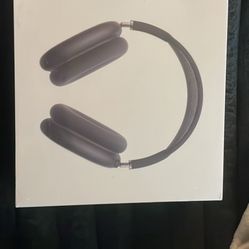Apple Airpod Max Midnight Color Way