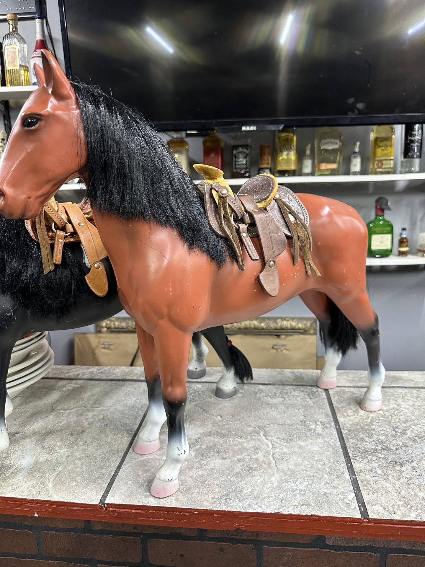 Caballos