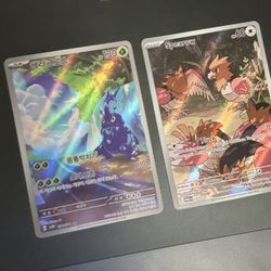 Korean Heracross N Spearow 