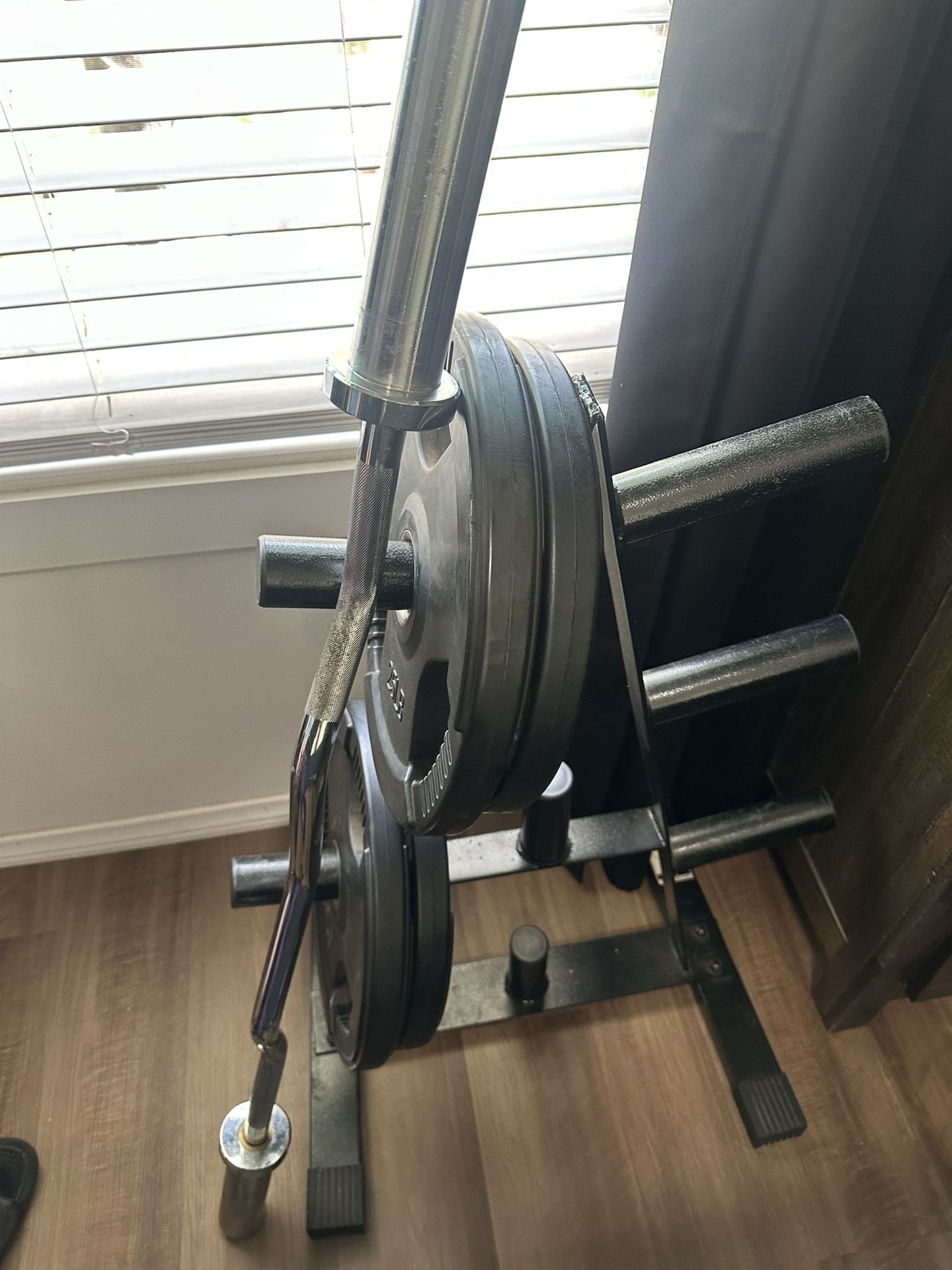 Olympic Plates , Curl Bar And Weight Rack