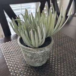 Artificial Plant Decor 