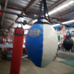 Punching Bag 
