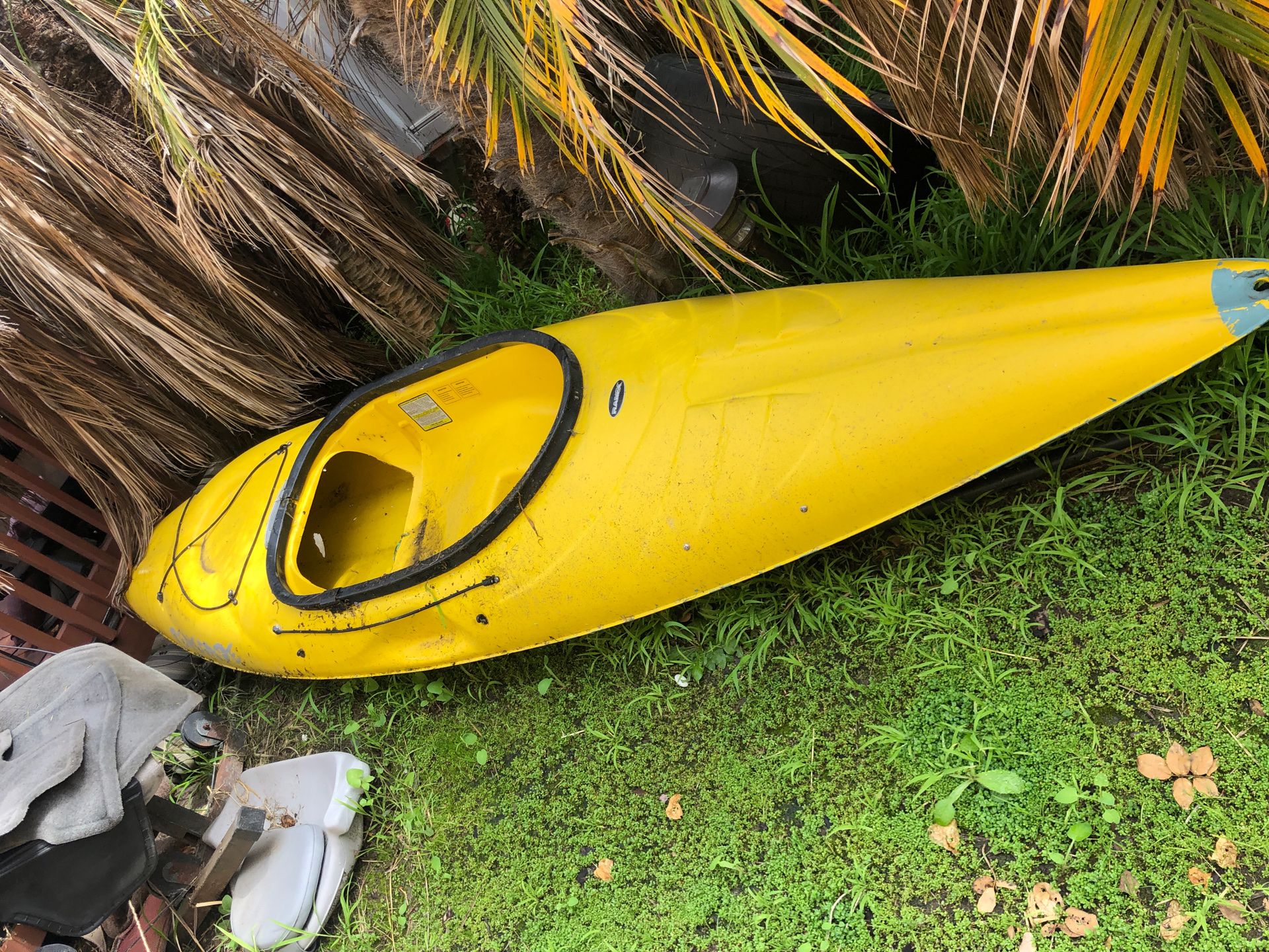 Renegade Kayak