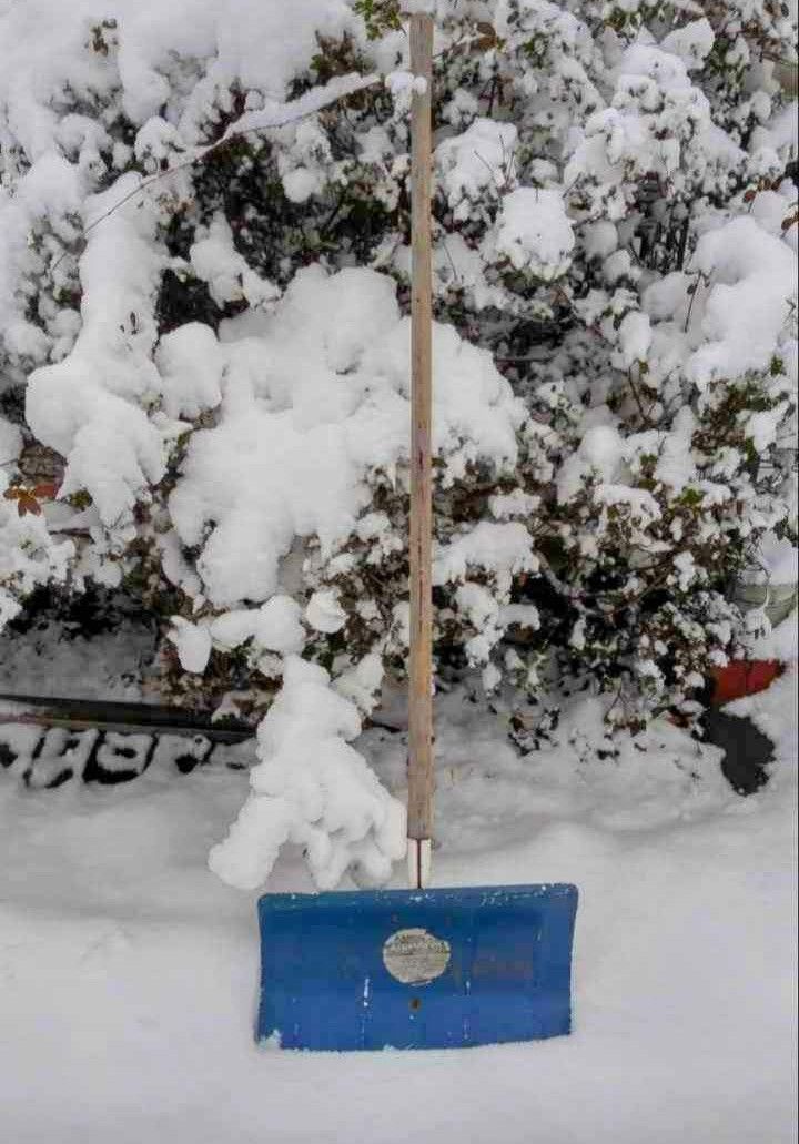 Study Metal Snow Shovel