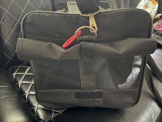 Dog Travel Carrier Bag (Delta Brand) + Accessories - Good Condition
