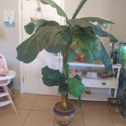 Fake Beautiful Banana Plant 