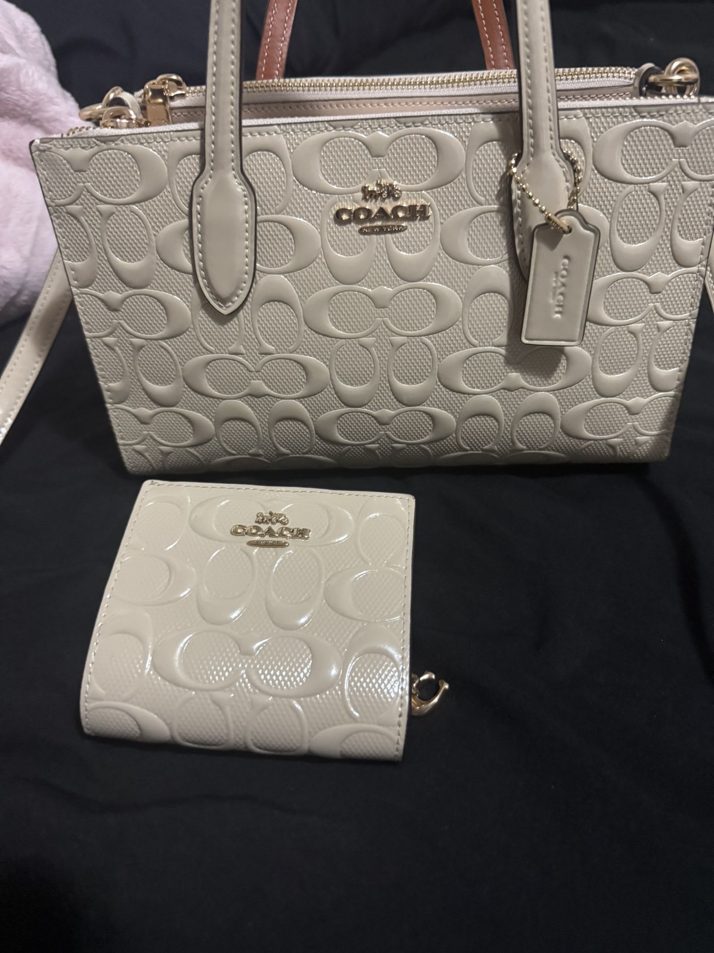 Coach Mini Tote Bag