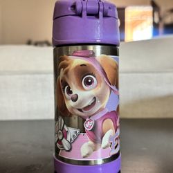 Kid’s Thermos Insulated Bottle Skye And Everest Paw Patrol
