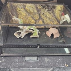 Exo-Terra Glass Terrarium 24×18×12 w/double heat lamp & More.