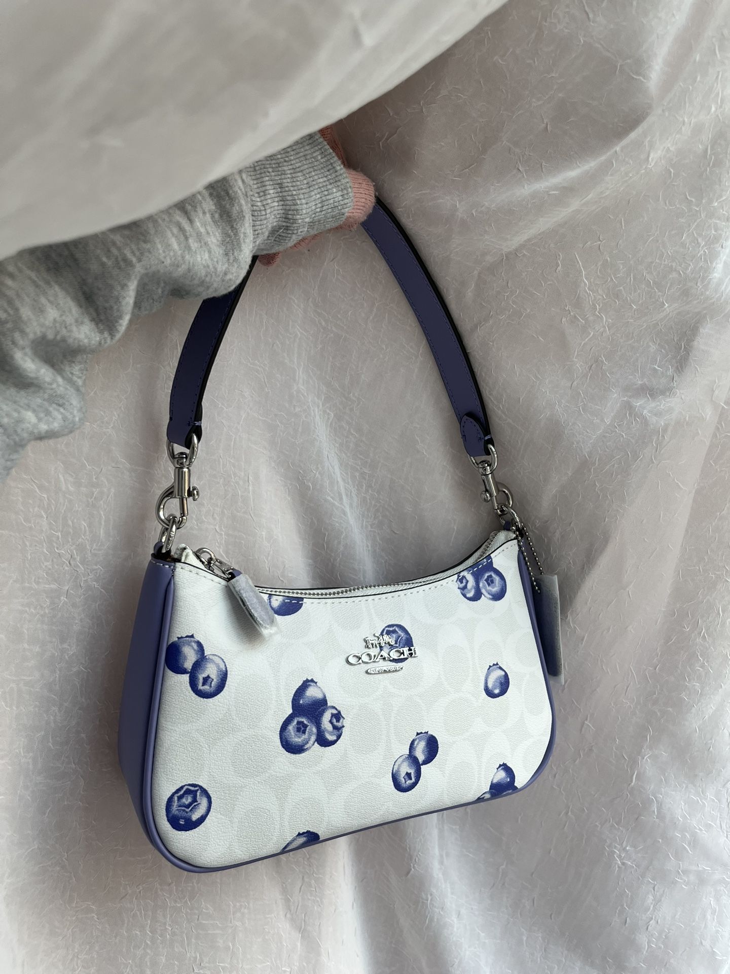 blueberry coach bag