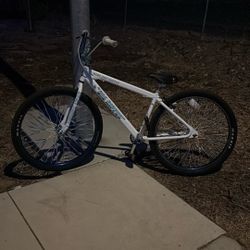 S.E Arctic White Big Ripper