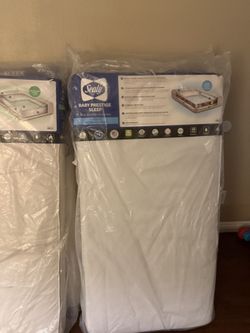 Sealy Crib Mattresses Special