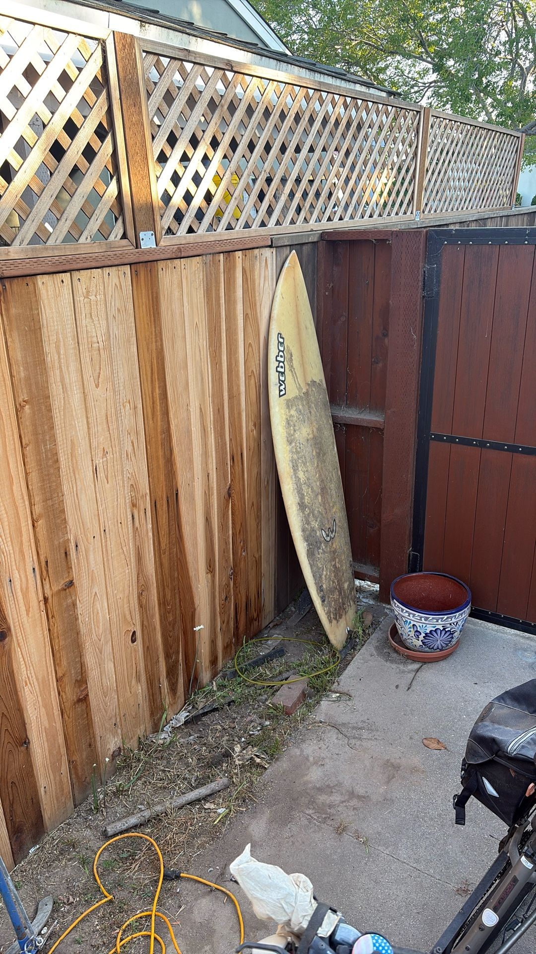 Webber Surfboard