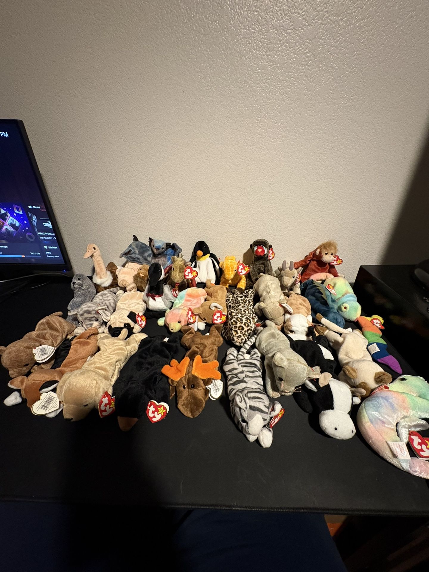 Beanie Baby Lot (65)
