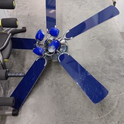 Sweet Ceiling Fan. 100$