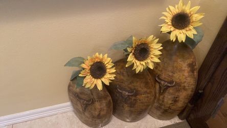 Vase set Texas longhorn