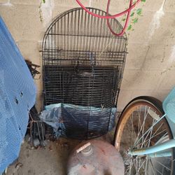 Bird Cage