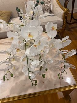 Faux White Phalaenopsis Orchid Stems