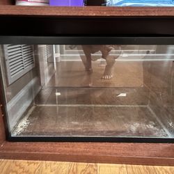10 gallon tank 