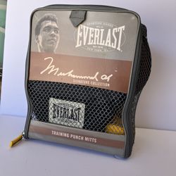 Everlast Boxing Training Punch Mitts