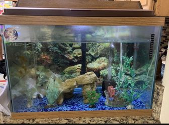 Fish Tank 20 Gallons 