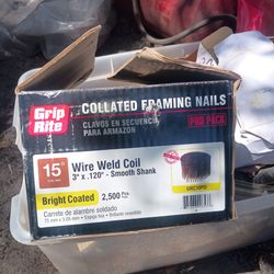 Coil nail