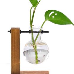 Terrarium Plants Wooden Stand, Hydroponics Plants Bulb Glass Vase 