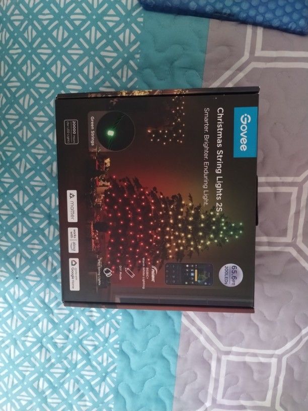 Govee Christmas String Lights 2S