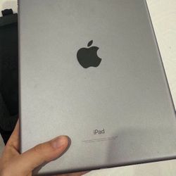 iPad 