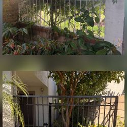 Metal Rod Iron Fence Metal Gate Custom Gate Metal Railing Handle Bar Interior Railing Exterior Railing Sliding Gate Full Privacy Semi Privacy 