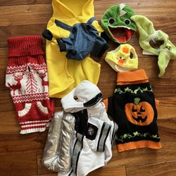 Cat or Small dog outfits