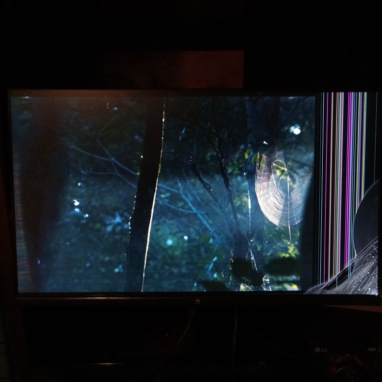 Broken 25" Gaming Monitor (240Hz, 1080p, Functional IO)