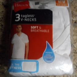 Hanes Shirts 