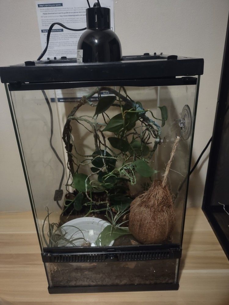 Bioactive Enclosure Tank