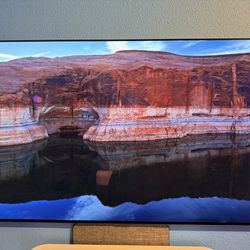 LG G1 OLED 55 Inch With Wall Mount (OLED55G1PUA)