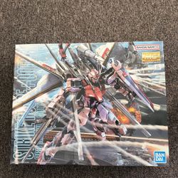 Gundam Strike Rogue MG