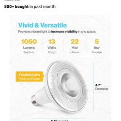 Sunco Lighting PAR38 & PAR20 LED Light Bulbs 