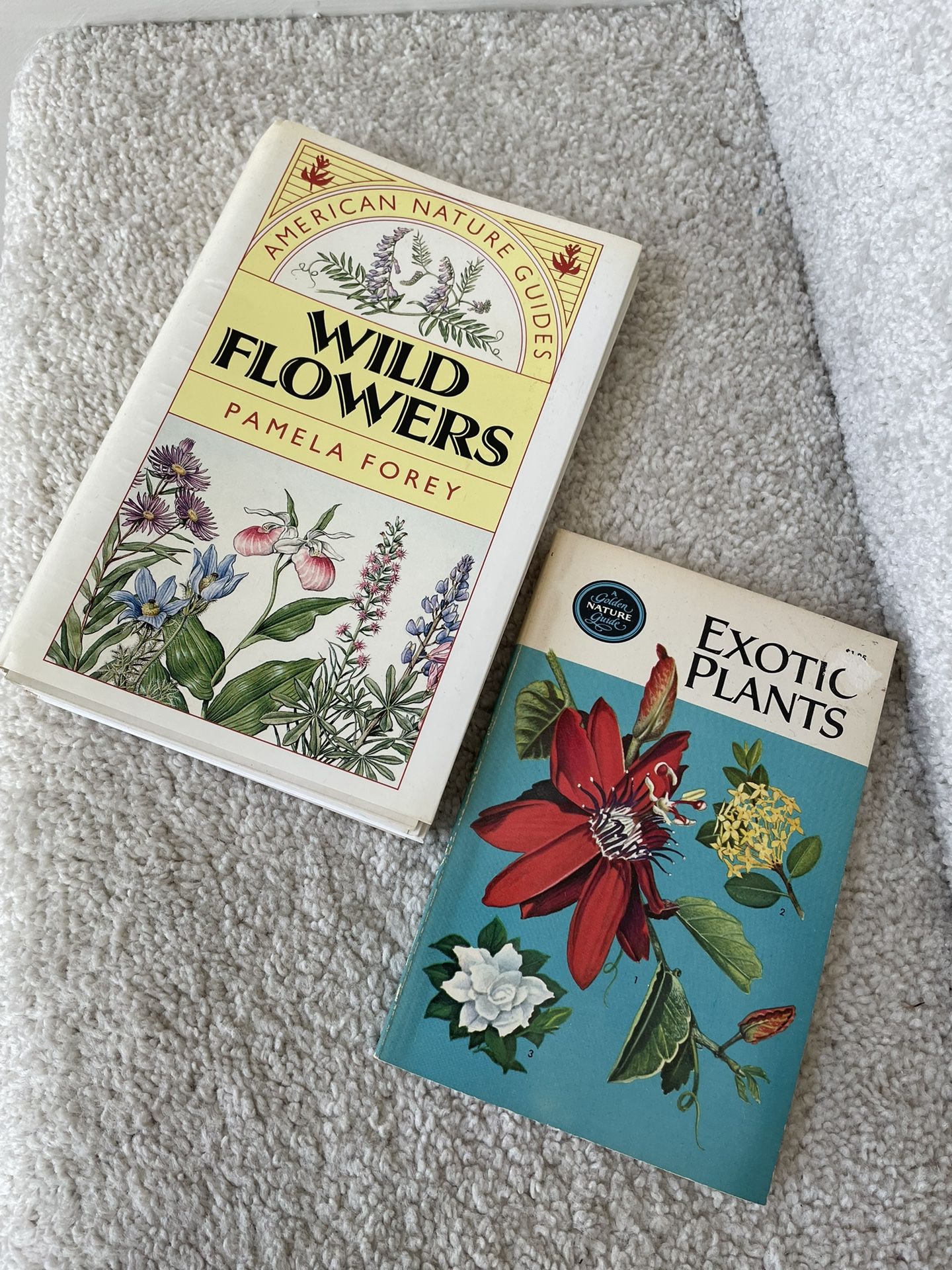 Vintage wildflowers book watercolor book flowers drawing book