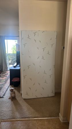 BRAND NEW TWIN MATTRESS