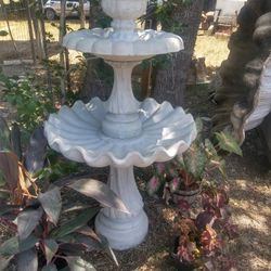 Seashell Water Fountain