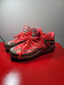 Lebron 11 "Maison Collection " Size 11