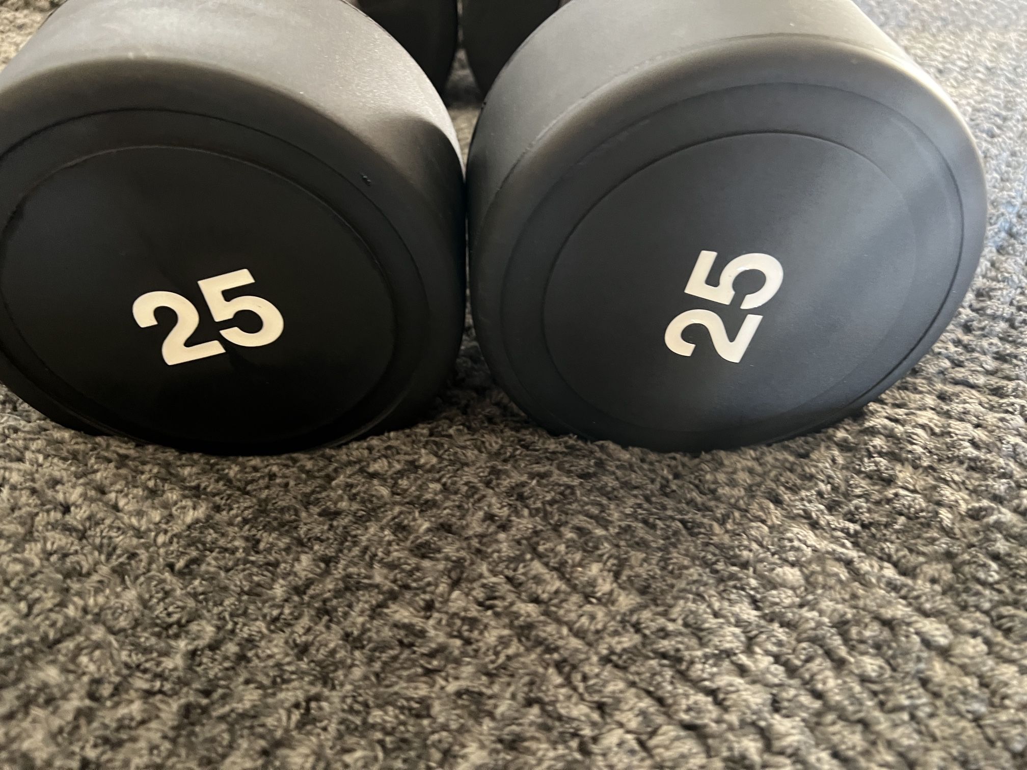 25lb Rubber Dumbbells - $50