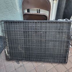 Dog Cage 
