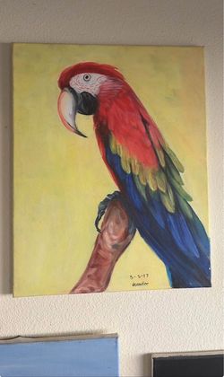 Original Scarlet Macaw Oil Painting on Canvas